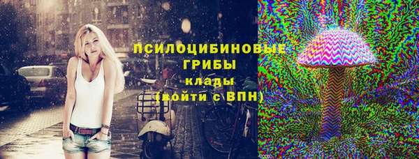 spice Алексеевка