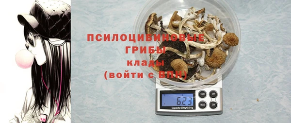 spice Алексеевка