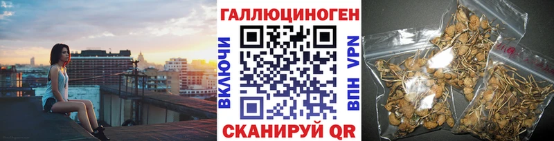 Галлюциногенные грибы MAGIC MUSHROOMS  где купить   Константиновск 